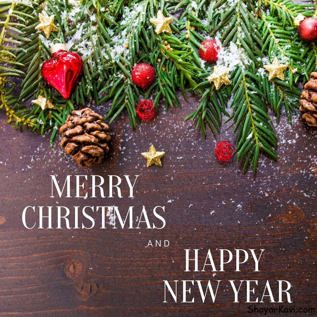 Merry Christmas & Happy New Year written on brown table with green plants and snow