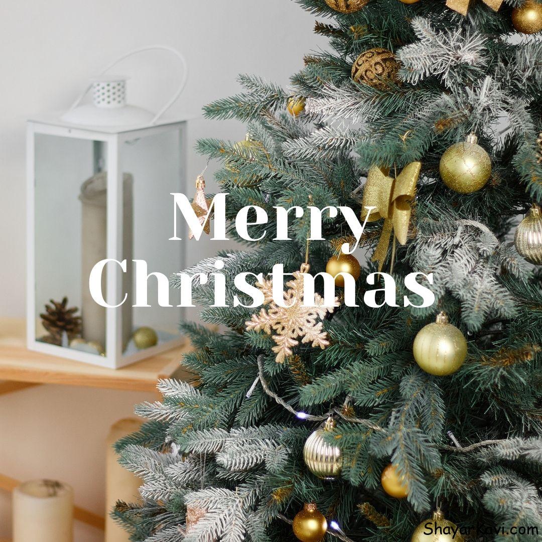Merry Christmas and Beautiful Christmas Tree Decoration
