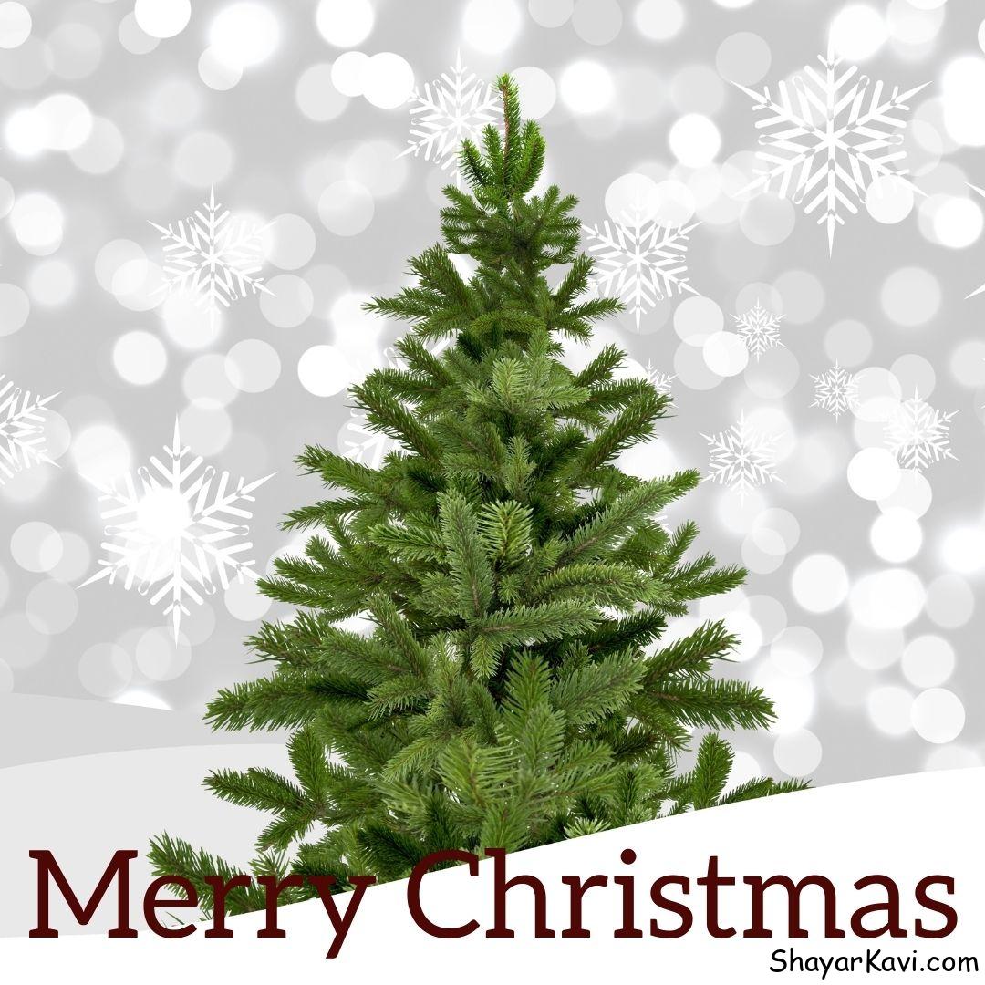 Merry Christmas and Christmas Tree Green