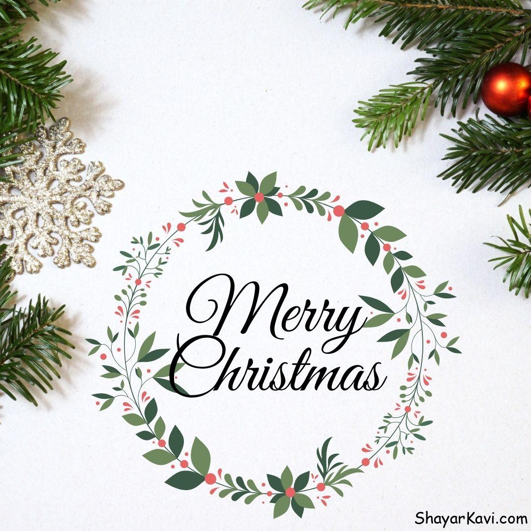 Merry Christmas and Green Leaves with White Background
