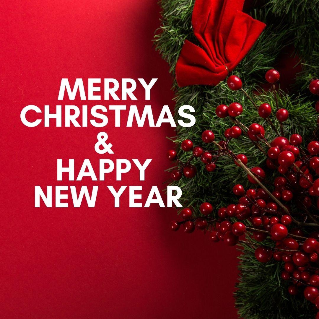 Merry Christmas and Happy New Year Card Red Background & Green plants