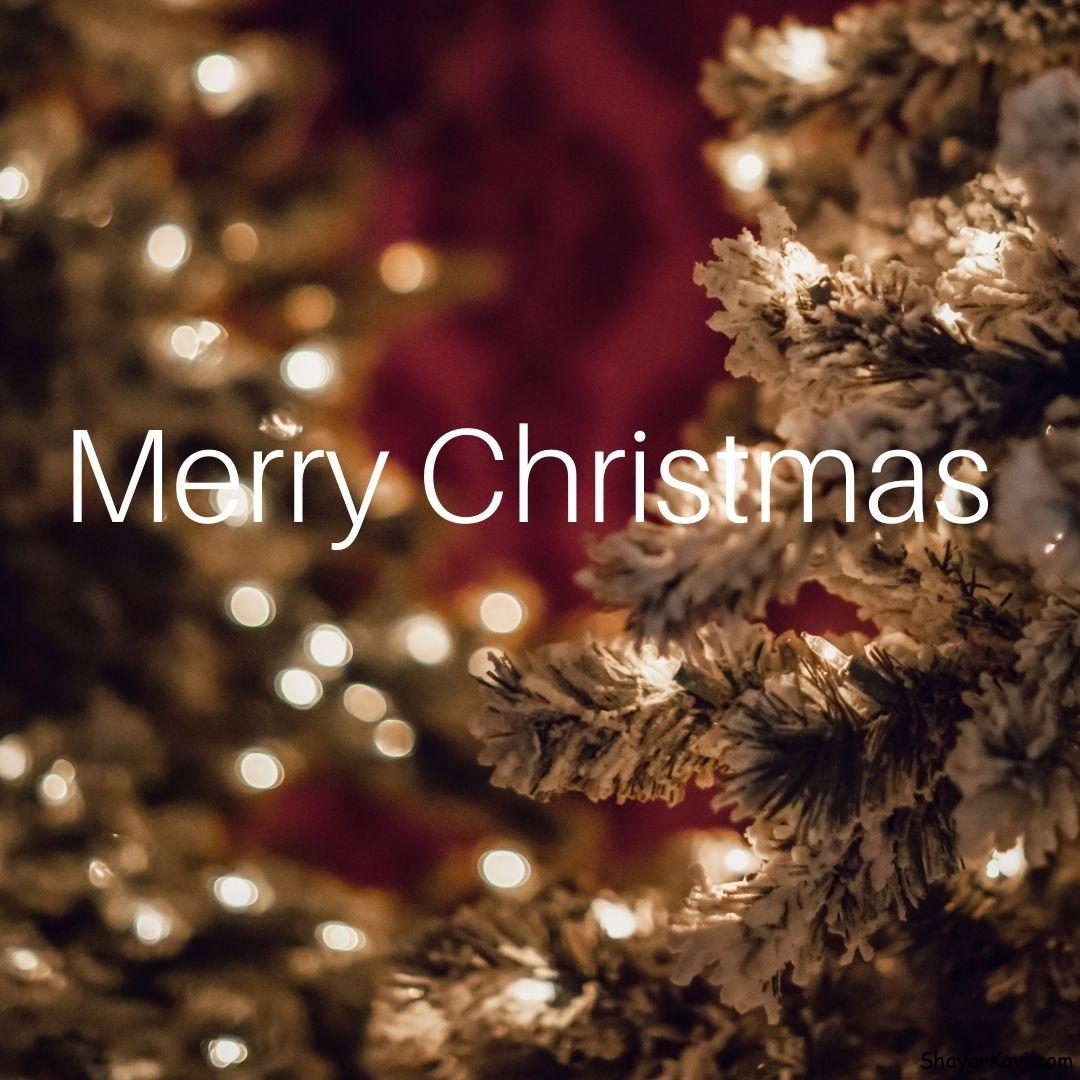 Merry Christmas and Maroof Background with Christmas Tree