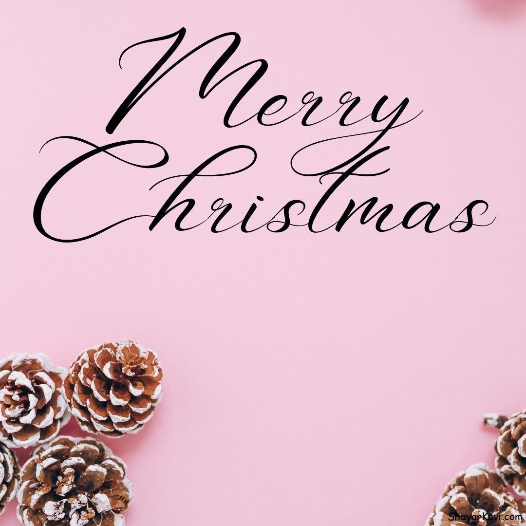 Merry Christmas and Pink Background Plain