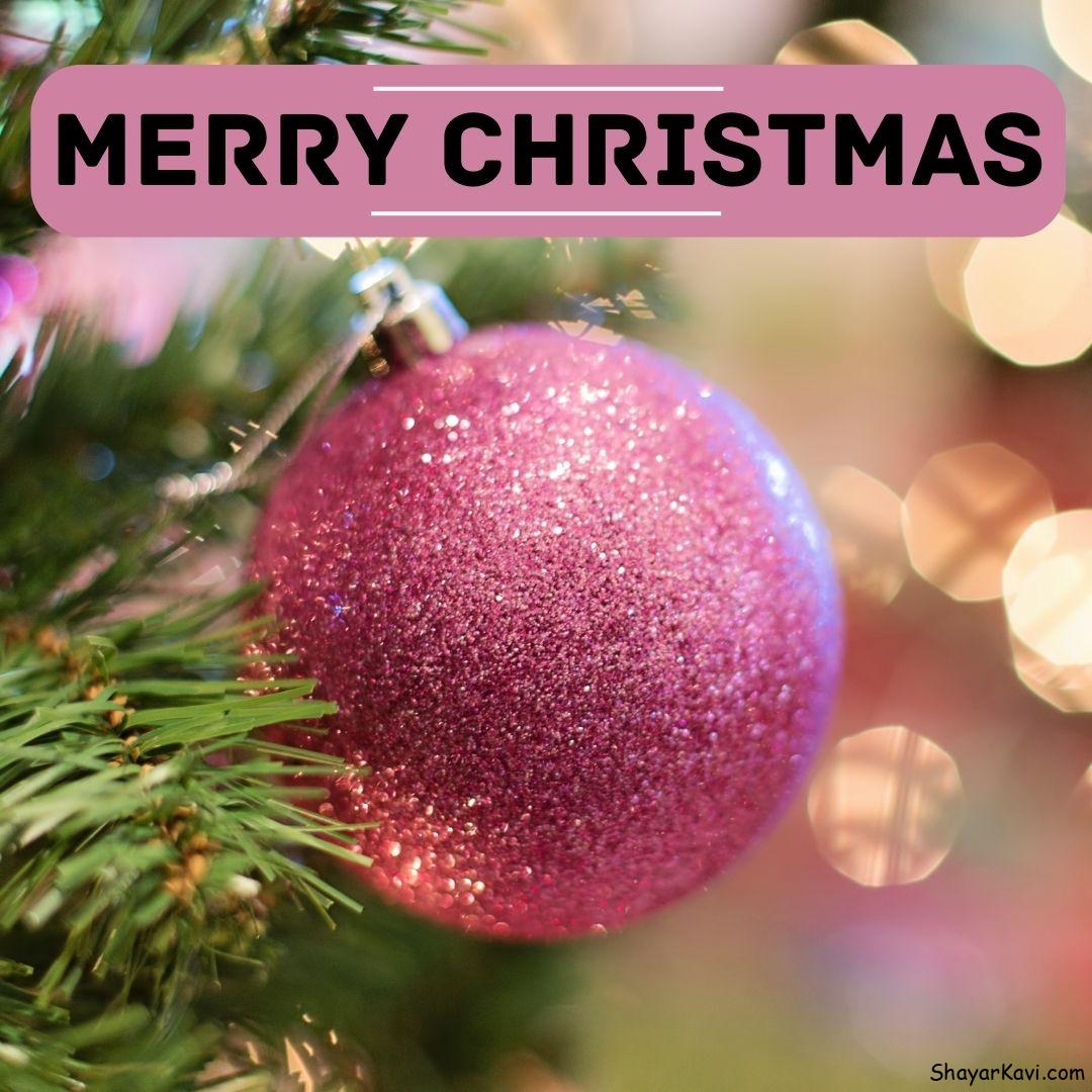 Merry Christmas and Pink Ball on Christmas Tree