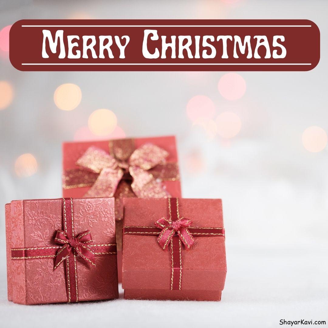 Merry Christmas and Pink Gift Boxes