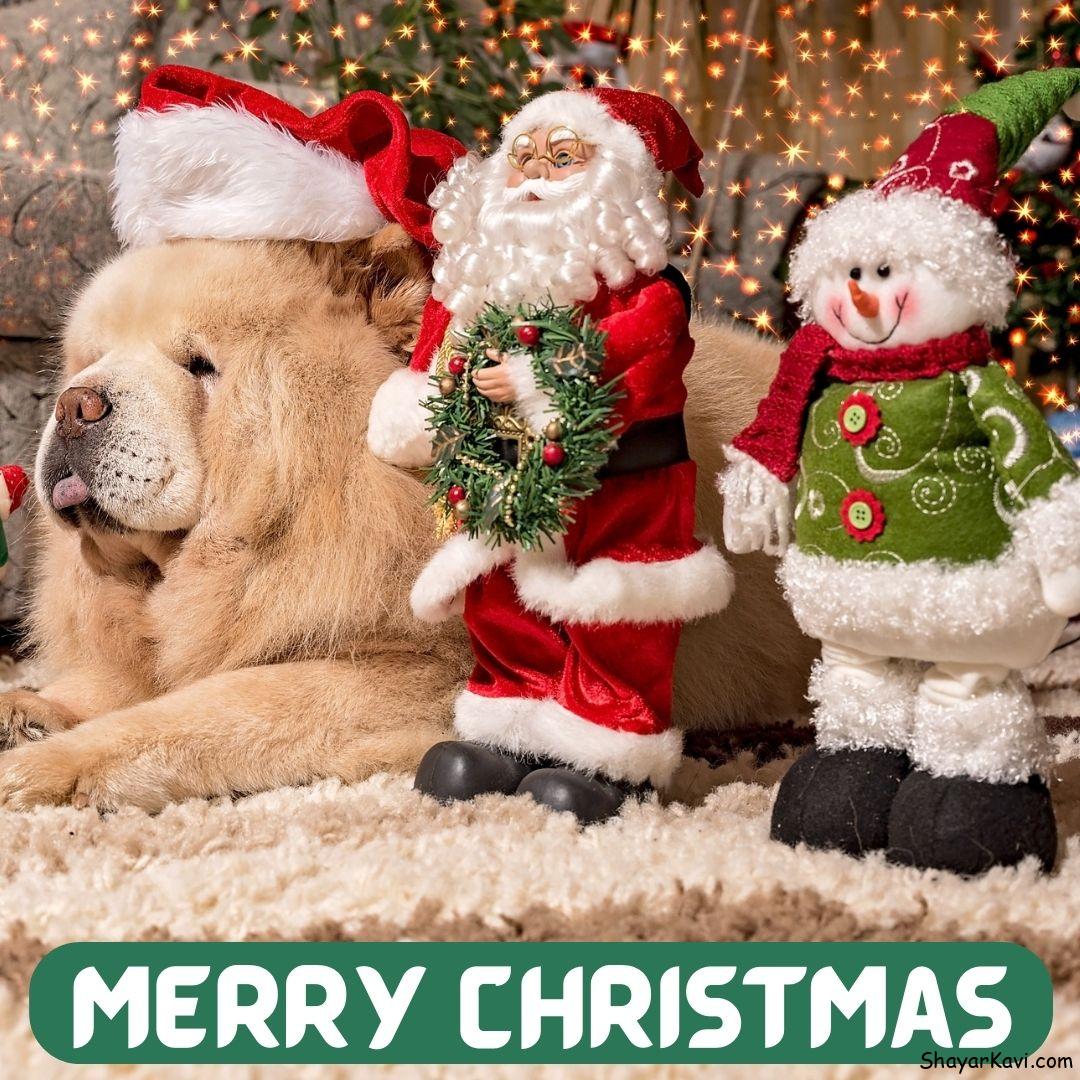 Merry Christmas and Santa with Dog Wearing Cap