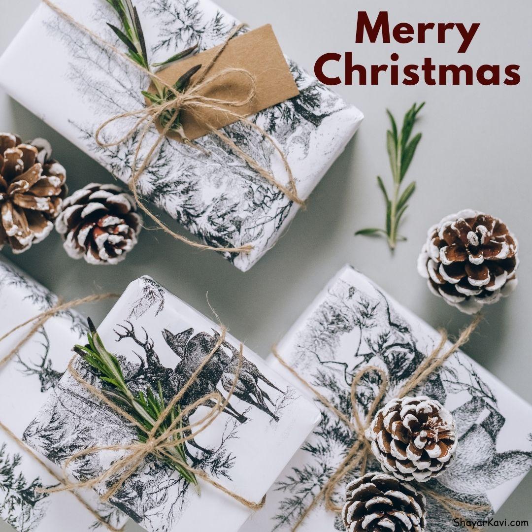 Merry Christmas and White Gift Wraps