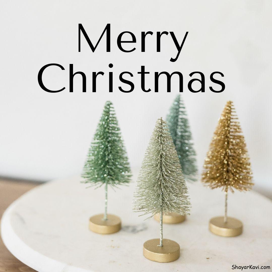 Merry Christmas and small Decoration Christmas Trees
