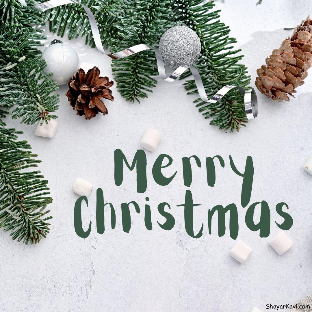 Merry Christmas and white background with green plants