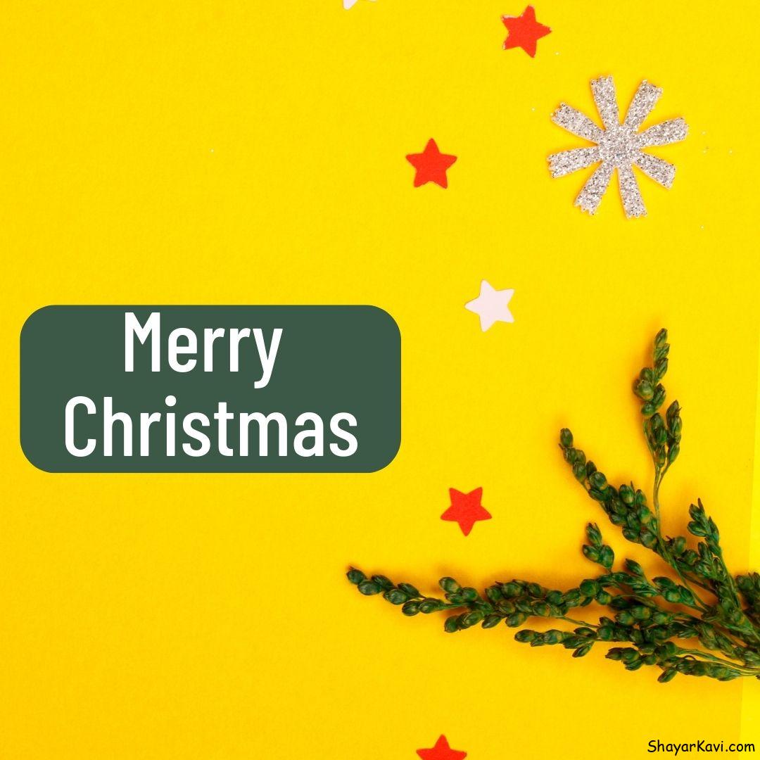 Merry Christmas with Yellow Background