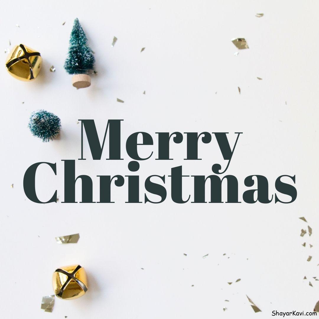 Merry Christmas with white background