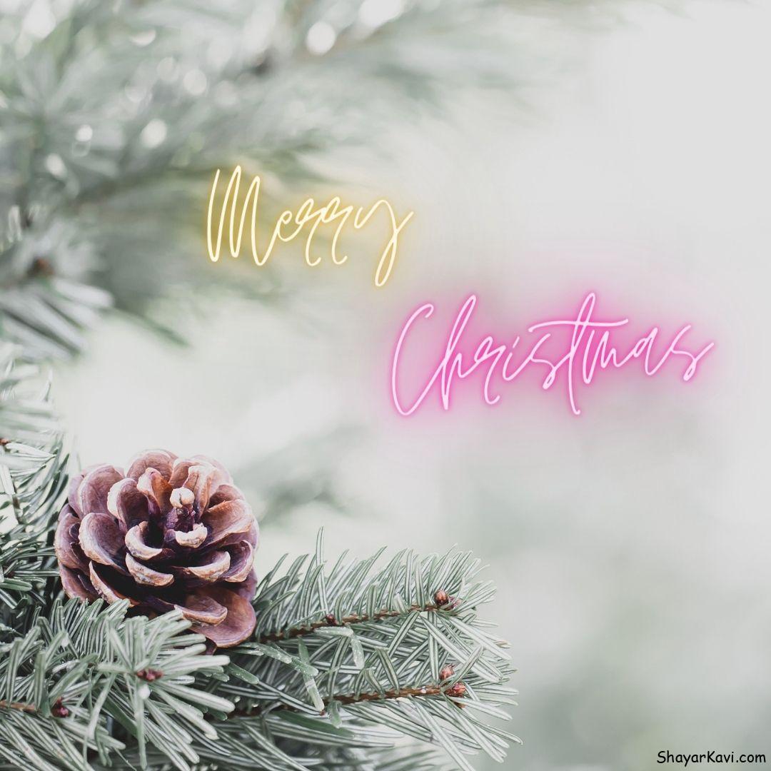 Merry Christmas with white blurred background