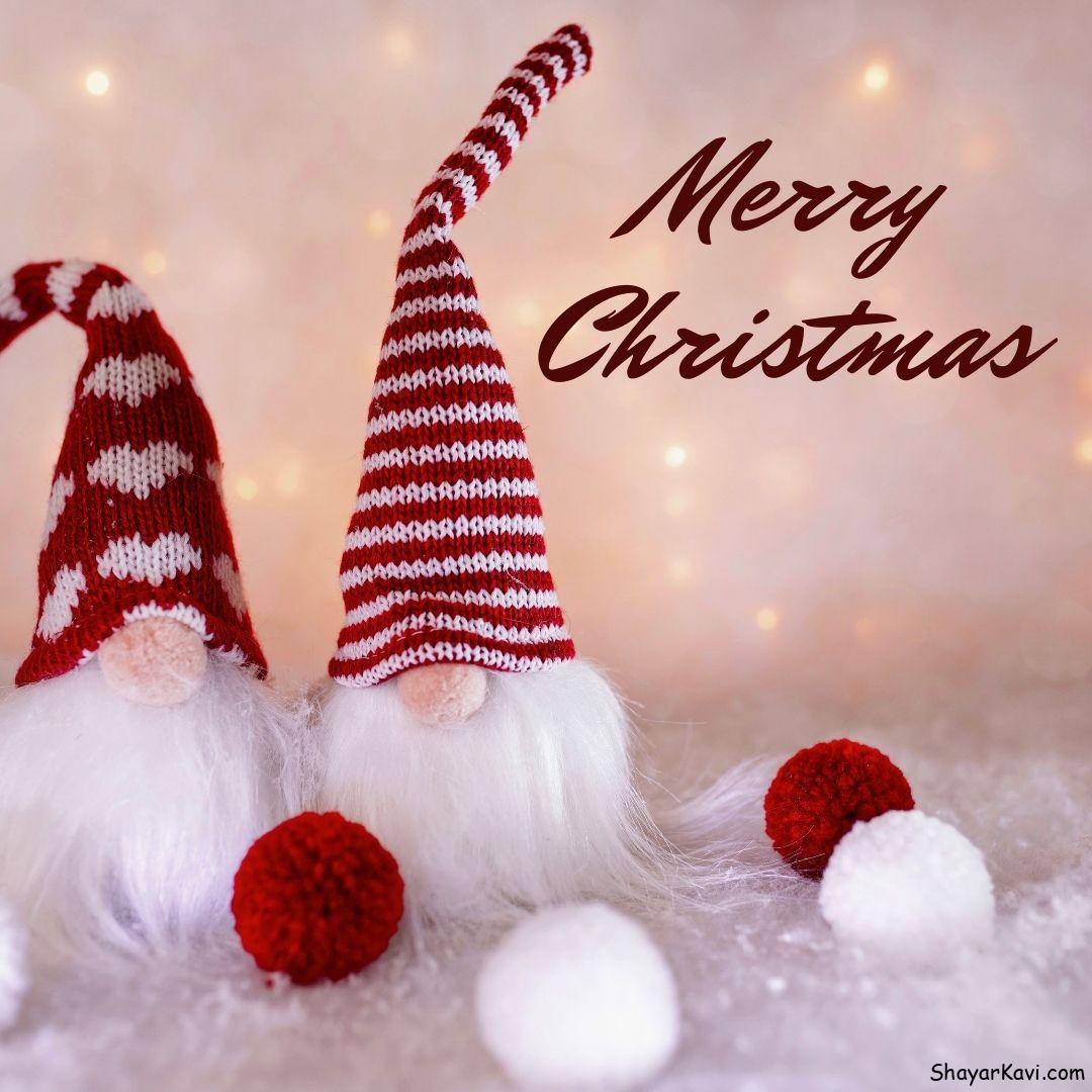 Merry Christmas with winter woolen santa cap