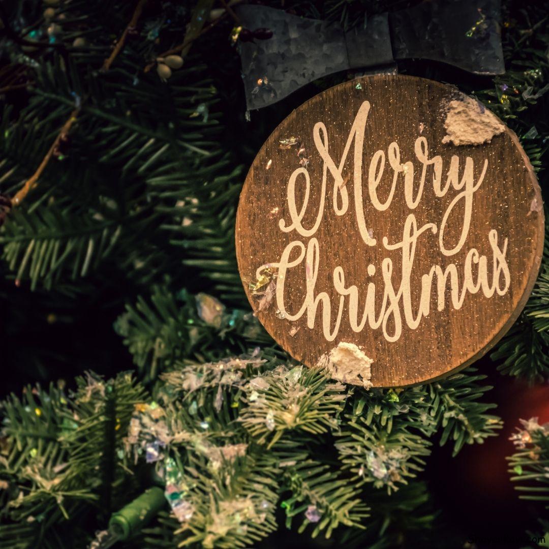 Merry Christmas written on Christmas tree round wood piece
