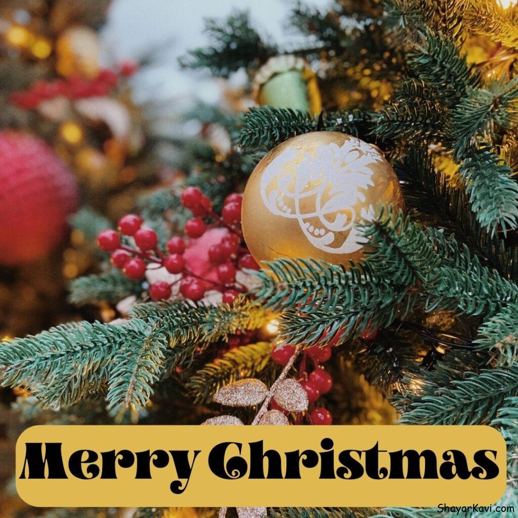 Merry Christmas and Christmas Tree with Golden Ball